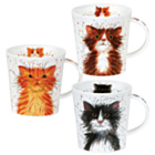 Catter Splatter Lomond Set of 3 Mugs