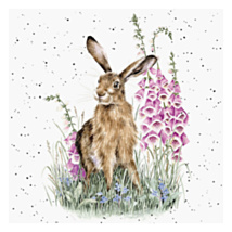 ‘The Wild Garden’ Hare Greetings Card
