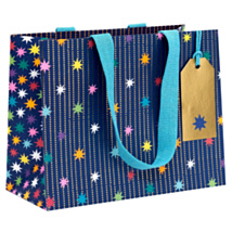 Paper Salad Navy Star Garland Landscape Medium Gift Bag