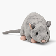 Rat With Squeak