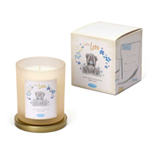 ‘With Love’ White Rose & Eucalyptus 206g Boxed Glass Candle