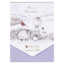'Merry Christmas To Ewe' Sheep Set Of 8 Christmas Cards