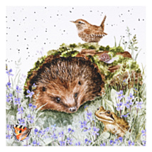 ‘The Wild Patch’ Hedgehog Greetings Card