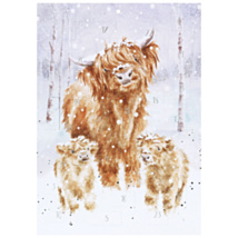 ‘A Highland Christmas’ Highland Cows Advent Calendar