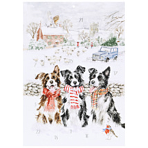 ‘While Shepherds Watched’ Dogs Advent Calendar