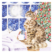 ‘Christmas Stars’ Cat Christmas Card