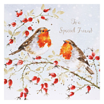 ‘Feathers And Friendship’ Robins Friend Christmas Card