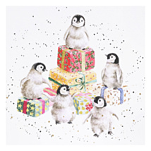 ‘Penguin Pandemonium’ Penguins Christmas Card
