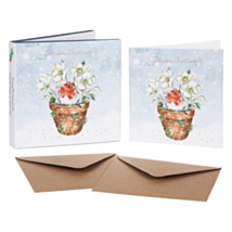 ‘Season's Tweetings’ Robin Set of 8 Gold Foiled Christmas Cards