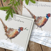 ‘Christmas Colours’ Set of 8 Luxury Boxed Christmas Cards