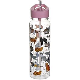 Cat water on sale jug