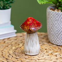 Assorted Magical Tall Mushroom