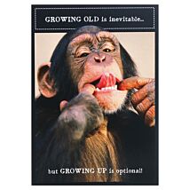 Animal Antics Chimpanzee ‘Growing Up Optional’ Birthday Card