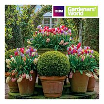 Gardeners’ World - Tulip Displays Greetings Card
