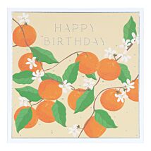 Oranges Birthday Card