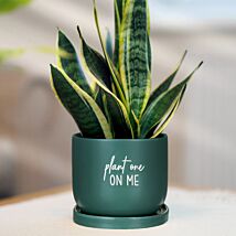 Country Living Plant One On Me Ceramic Plant Pot