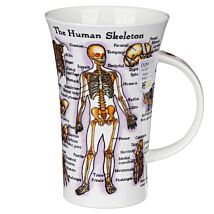 Human Skeleton Glencoe Shape Mug