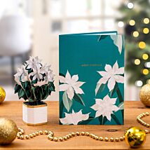 Mini Flora ‘White Poinsettia’ Pop-Up Christmas Card