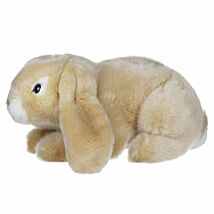 Cream Lop Eared Rabbit