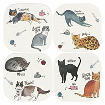 Curious Cats Bamboo Set of 4 Coasters