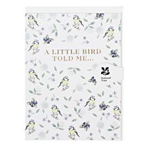 Blue Tit Pure ‘A Little Bird Told Me’ Mini Card