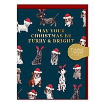 Dogs ‘Furry & Bright’ Mini Christmas Card