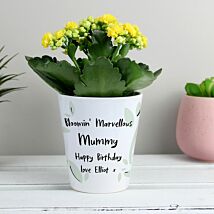 Personalised Plant Pot