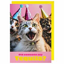 Ark Life Cats Tequila Birthday Card