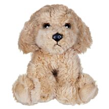 Large Golden Doodle Dog