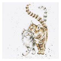 ‘Feline Good’ Cat Greetings Card