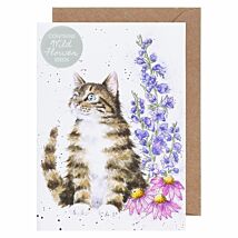 ‘Whiskers and Wild Flowers’ Cat Seed Card