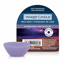 Stargazing Wax Melt