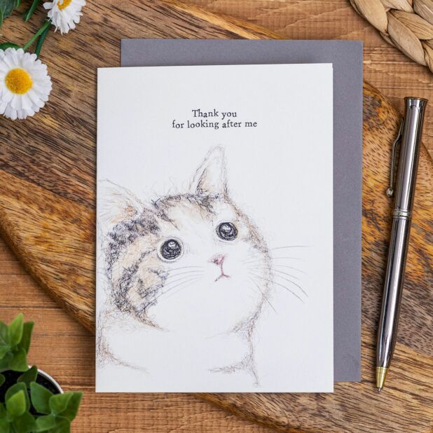 Biglietto Di Natale 'Thank You For Looking After Me' Con Busta, 20x15 Cm, Piccadilly Greetings, Fatto Nel Regno Unito