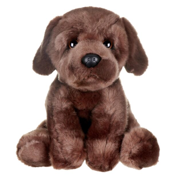 Chocolate lab teddy store