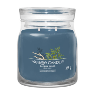 Bayside Cedar Signature Medium Jar Candle