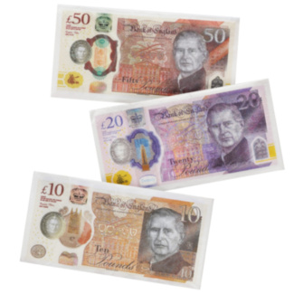 King Charles III Bank Note Napkins - Select Design