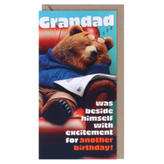 Ark Life Grandad Bear Beside Himself Birthday Card