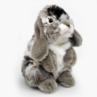 Grey Sitting Lop Eared Rabbit