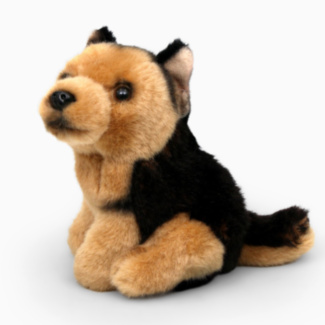 Small German Shepherd Dog