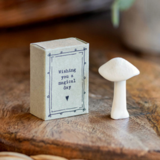 Matchbox Mushroom ‘Magical Day’