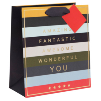 Amazing Fantastic Awesome Stripes Medium Gift Bag