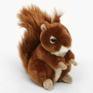 Large Squirrel