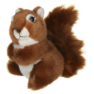 Medium Squirrel