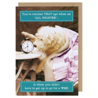 Animal Antics All Nighter Birthday Card