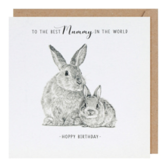 Life In Pencil Hoppy Mum Birthday Card