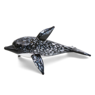Glass Mottled Dolphin