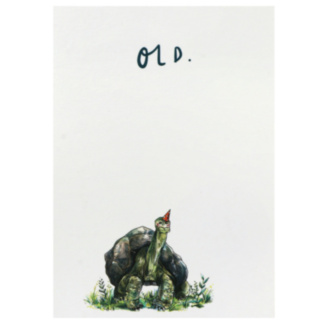 ‘Old’ Tortoise Birthday Card