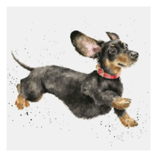 ‘That Friday Feeling’ Dachshund Greetings Card