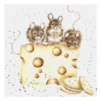 ‘Crackers About Cheese’ Mouse Greetings Card