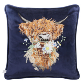 ‘Daisy Coo’ Highland Cow Embroidered Cushion